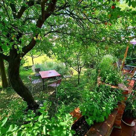 La Toscana Rustica Guest house Musetesti (Gorj)