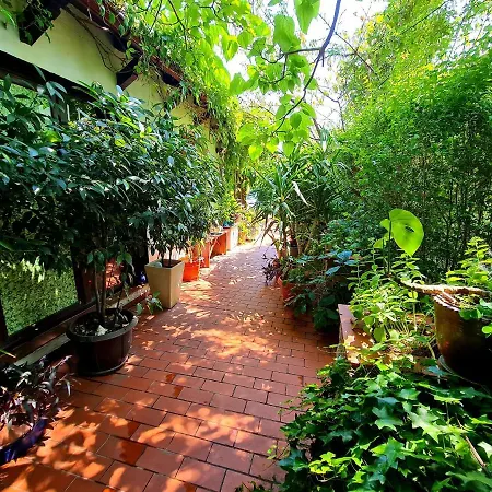 Guest house La Toscana Rustica Musetesti (Gorj)