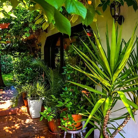 Guest house La Toscana Rustica Musetesti (Gorj)