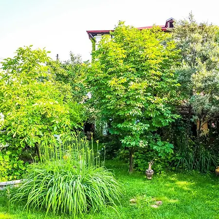 La Toscana Rustica Musetesti (Gorj)